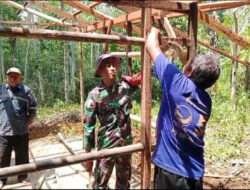 Selalu Ada Bersama Rakyat, Babinsa Koramil 0801/11 Donorojo Bantu Renovasi Rumah Warga