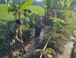 TNI-Polri Dorong Semangat Gotong Royong untuk Majukan Pertanian di Desa Nglongsor
