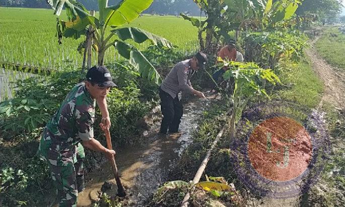 TNI-Polri Dorong Semangat Gotong Royong untuk Majukan Pertanian di Desa Nglongsor