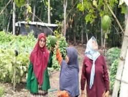 IAIN Kediri Kunjungi Paguyuban Perempuan Panceng Binaan LPA Tuban dalam Rangka Observasi Penelitian