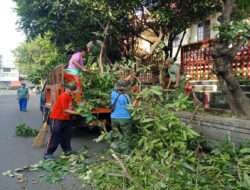 Antisipasi Korban Jiwa, Babinsa Bersama Warga Laksanakan Goyong Royong Perempelan Ranting Pohon