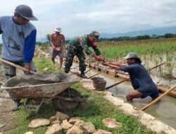Bantu Warga Desa Binaan, Babinsa Kodim Ponorogo Ikut Kerja Bakti Bangun Talud di Persawahan