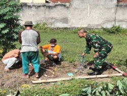 Dukung Ketahanan Pangan Wilayah, Danramil 01/Laweyan Survei Lokasi Pertanian di Wilayah Binaan