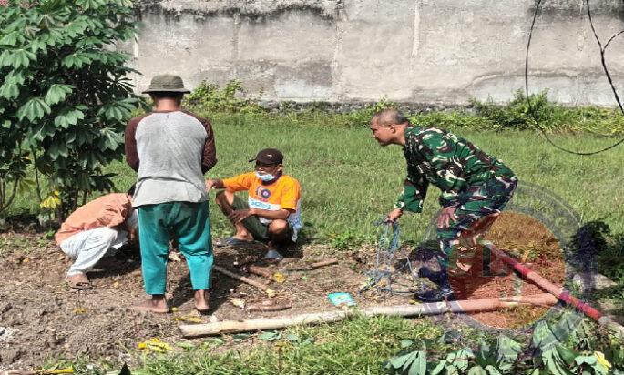 Dukung Ketahanan Pangan Wilayah, Danramil 01/Laweyan Survei Lokasi Pertanian di Wilayah Binaan