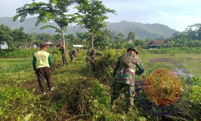 TNI dan Warga Bersatu, Wujudkan Embung Desa Semarum yang Bersih dan Lestari