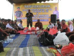 Panen Raya di Trenggalek: Sinergi TNI dan Petani Dorong Swasembada Pangan Nasional