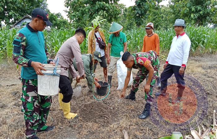 Pilar Bersama Persatuan Kades Panceng Giat Pemupukan MPTS Ketahanan Pangan