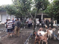 Sosialisasi Penutupan Pasar Hewan di Kabupaten Trenggalek: Langkah Tegas Atasi Penyebaran PMK