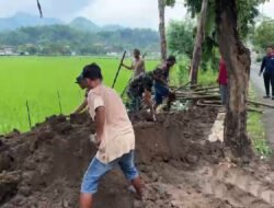 Kemanunggalan TNI Dan Rakyat, Babinsa 0801/01 Pacitan Bantu Ratakan Tanah