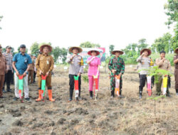 Komitmen Dukung Swasembada Pangan, Polres Gresik Tanam Jagung di Panceng