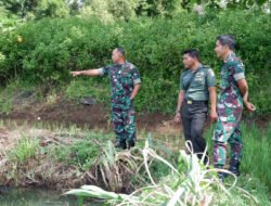 Dukung Swasembada Pangan, Dandim 0801/Pacitan Tinjau Awal Kesiapan Lahan Pertanian dan Perikanan