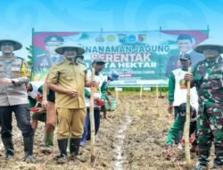 Dukung Swasembada Pangan 2025 di Lamongan Adakan Penanaman Jagung Serentak