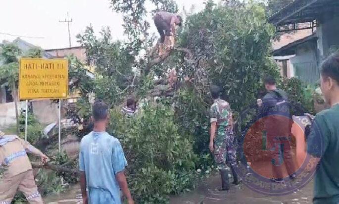 Aksi Gerak Cepat, Babinsa Koramil 0801/03 Arjosari Bersihkan Pohon Tumbang