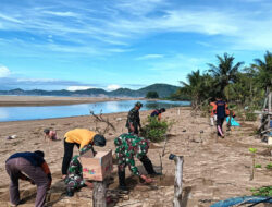 Peduli Lingkungan, Kodim 0801/Pacitan Lakukan Aksi Tanam Bibit Mangrove