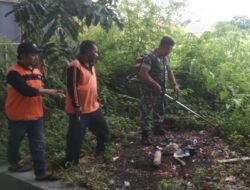 Babat Rumput, Cara Efektif Babinsa Banjarsari dalam Memelihara Kebersihan Lingkungan