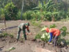 Kepedulian TNI Mendukung Program Ketahanan Pangan, Babinsa Karanganyar Ngawi Terjun ke Lapangan