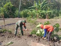 Kepedulian TNI Mendukung Program Ketahanan Pangan, Babinsa Karanganyar Ngawi Terjun ke Lapangan