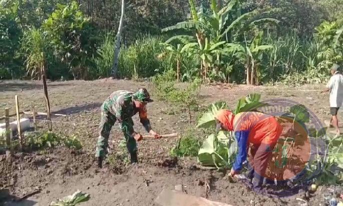 Kepedulian TNI Mendukung Program Ketahanan Pangan, Babinsa Karanganyar Ngawi Terjun ke Lapangan