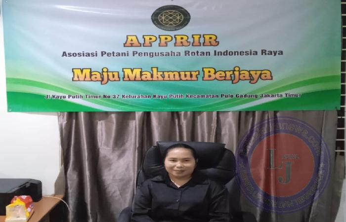 APPRIR, Merekomendasikan Kepada Pemerintah Untuk Mengubah Tata Niaga Rotan