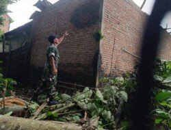 TNI-Polri dan Warga Bersatu! Sigap Evakuasi Pohon Tumbang di Trenggalek