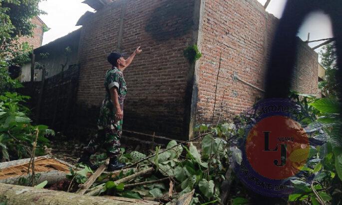 TNI-Polri dan Warga Bersatu! Sigap Evakuasi Pohon Tumbang di Trenggalek