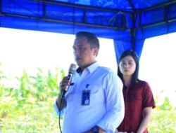 Dukung Ketahanan Pangan, Lapas Banyuwangi Tanam Padi di SAE Pakis