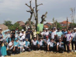 Pohon Bunut dan Baringtonia Sumbangan Dinas Pendidikan dan MKKS SMP Negeri Kabupaten Lamongan Ikut Melengkapi Penghijauan