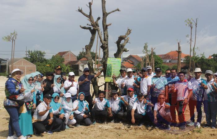 Pohon Bunut dan Baringtonia Sumbangan Dinas Pendidikan dan MKKS SMP Negeri Kabupaten Lamongan Ikut Melengkapi Penghijauan