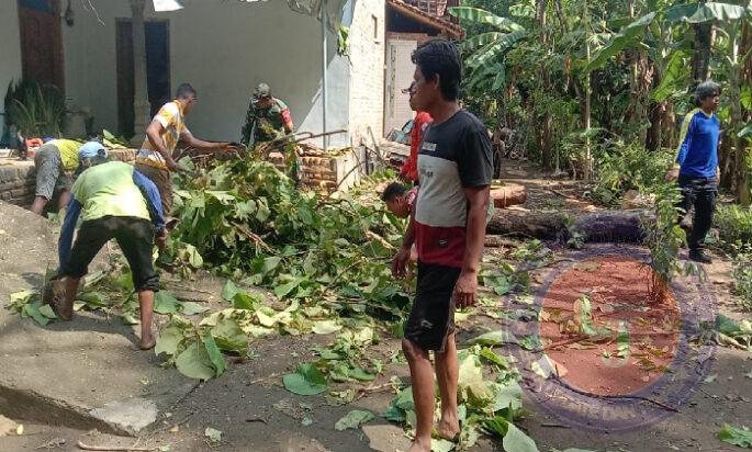 Kerja Bakti, Babinsa Kodim Ponorogo Bersihkan Ranting Pohon Bersama Warga