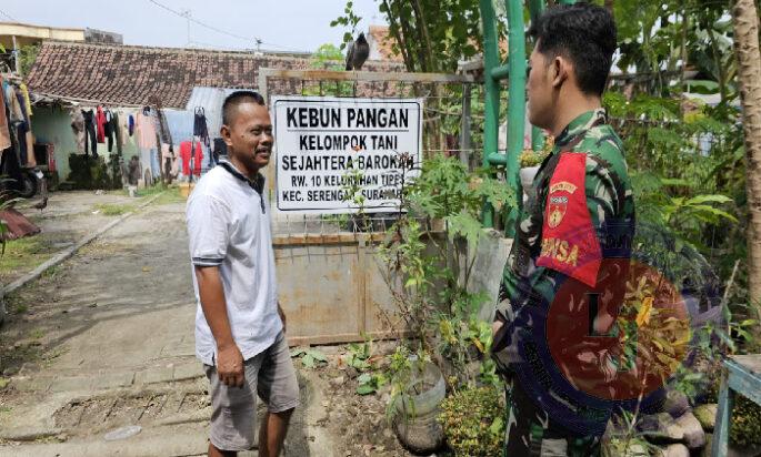 Babinsa Tipes Meningkatkan Ketahanan Pangan Melalui Pendampingan Warga