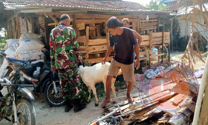 Babinsa Kemusu Berbagi Ilmu dengan Peternak Desa Ketoyan