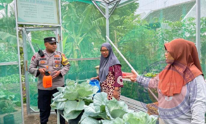 Dampingi KWT Bhabinkamtibmas Polres Probolinggo Kota Ajak Warga Wujudkan Ketahanan Pangan