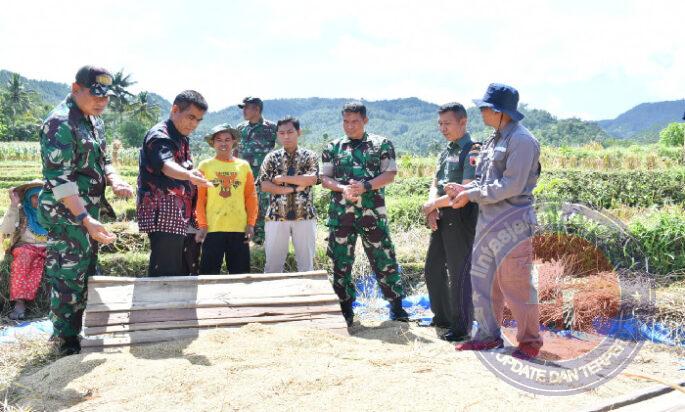 Penyerapan Gabah Sejahterakan Petani, Dandim Ponorogo Dampingi Bulog Turun ke Sawah Temui Petani