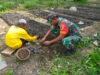 Dukung Program Penghijauan Babinsa Koramil Karangjati Bantu Warga Penyemaian Bibit Mahoni