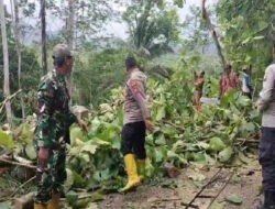 Wujud Kepedulian, Babinsa Koramil 0801/08 Tulakan Bersihkan Pohon Tumbang