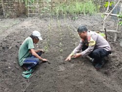 Wujudkan Ketahanan Pangan, Bhabinkamtibmas Polres Nganjuk Ajak Warga Manfaatkan Lahan Sela
