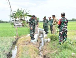 Percepatan LTT, Dandim Ponorogo Tinjau Sasaran Pembangunan Fasilitas Irigasi Tersier di Beberapa Lokasi