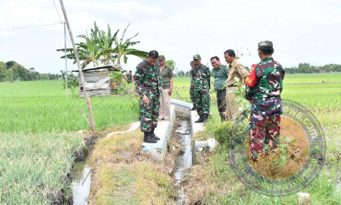 Percepatan LTT, Dandim Ponorogo Tinjau Sasaran Pembangunan Fasilitas Irigasi Tersier di Beberapa Lokasi