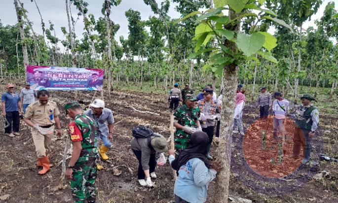 Polresta Banyuwangi Bersama Kelompok Tani Tanam Jagung Serentak Gelorakan Swasembada Pangan