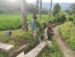 Normalisasi Pengairan, Babinsa Koramil 0801/03 Arjosari Cek Irigasi Persawahan