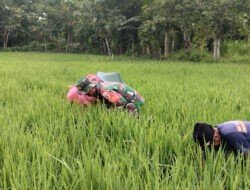 Dukung Swasembada Pangan, Babinsa Kwadungan Ngawi Aktif Pendampingan Pertanian di Wilayahnya