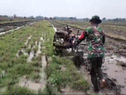 Babinsa Koramil 0801/03 Arjosari Dampingi Petani Lakukan Pengolahan Lahan Sawah