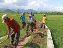 Perlancar Akses Pertanian, Babinsa Kodim Ponorogo Ikut Gotong Royong Perbaiki Jalan Usaha Tani