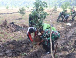 Dukung Swasembada Pangan, Kodim 0805 Ngawi dan Perhutani Berkolaborasi Kembangkan Sistem Agroforestri