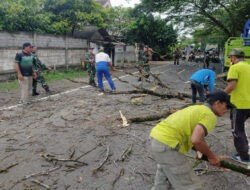 Aksi Sigap! TNI, Polri dan BPBD Trenggalek Bersatu Amankan Jalan dari Ancaman Pohon Tumbang