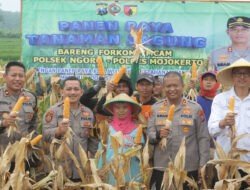 Polres Mojokerto Panen Raya Jagung Hasil Olah Lahan Tidur untuk Ketahanan Pangan