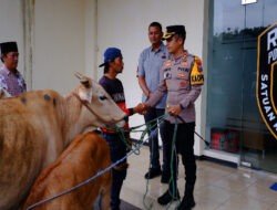 Polres Bondowoso Berhasil Temukan dan Kembalikan 3 ekor Sapi yang Hilang Pemilik Tersenyum Riang