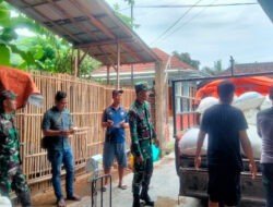 Babinsa Koramil 0801/03 Arjosari Dampingi Bulog Penyerapan Gabah Hasil Panen Petani