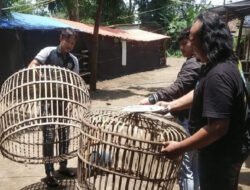 Komitmen Berantas Perjudian, Polres Nganjuk Bongkar Arena Sabung Ayam