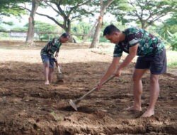 Dukung Program MBG dan Hanpangan, Anggota Kodim 0801/Pacitan Buat Bedeng Untuk Ditanami Sayur